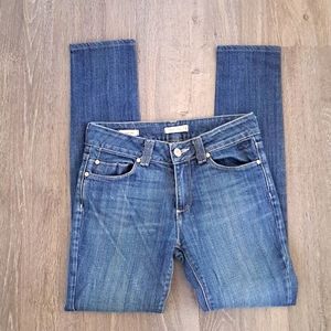 Silence + Noise Urban Outfitters Skinny Twig Denim Jeans Size 27
